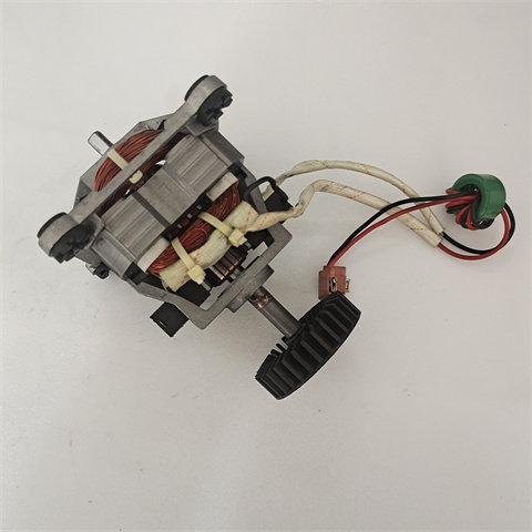 电机马达型号BD9520-220-1000-01