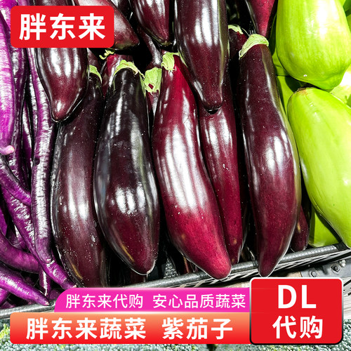 胖东来蔬菜 紫茄子新鲜紫茄子 紫皮茄子胖东来超市安心蔬菜代购