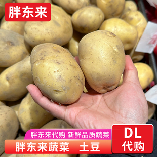 安心蔬菜代购 土豆 新土豆黄皮土豆黄心马铃薯洋芋当季 胖东来蔬菜