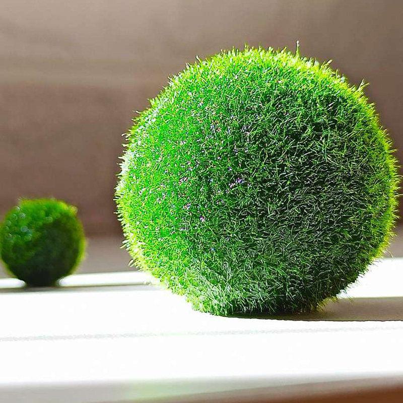 海藻球微景觀生態瓶魚缸水培球藻創意迷妳植物水生水底綠藻在類目 鮮花速遞/花卉仿真/綠植園藝, 園藝用品, 其它園藝用品中 - 來自Buy2taobao.com提供專業的淘寶代購服務