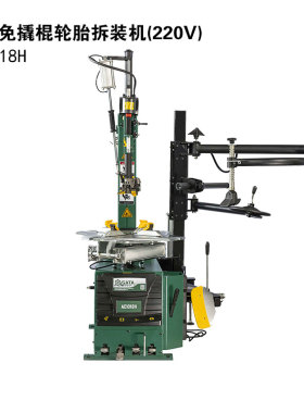 世达免撬棍全自动辅助臂汽车防爆扁平胎拆装机扒胎机AE1018H-3