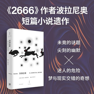 21部短篇小说 拉美文学 滕威陈烨华译 深渊边缘 上海人民出版 秘密 世纪文景正版 社 2666作者波拉尼奥短篇小说遗作邪恶