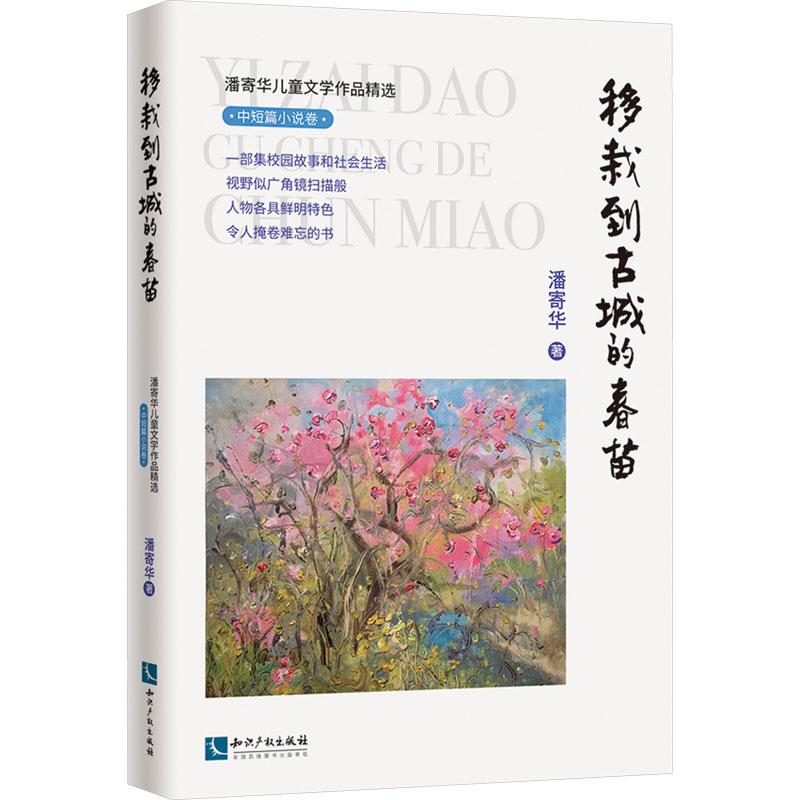 潘寄华儿童文学作品精选 中短篇小说卷 移栽到古城的春苗