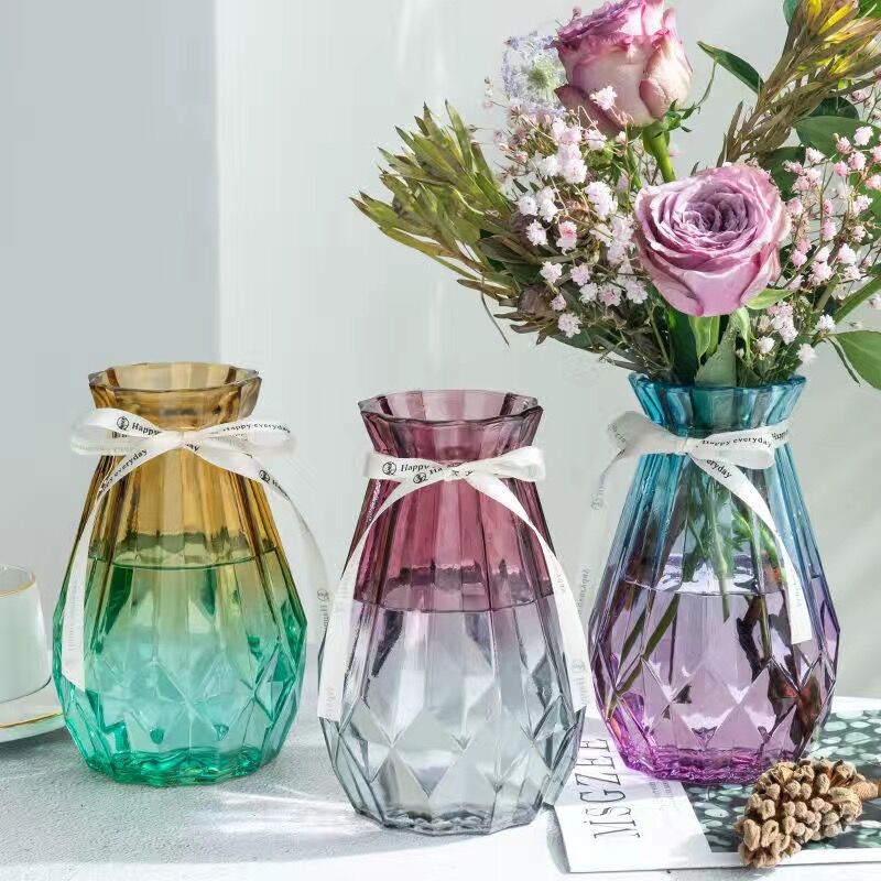 简约透明玻璃花瓶桌面插花水养干花鲜花花瓶ins风高颜值客厅摆件