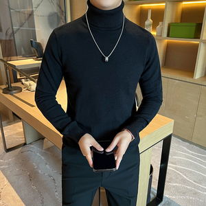 羊毛 高领长袖毛衣针织衫男士修身打底衫男长袖内搭潮W6009-P57图片
