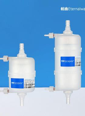 2inch4inch亲水聚四氟乙烯（PTFE）囊式过滤器