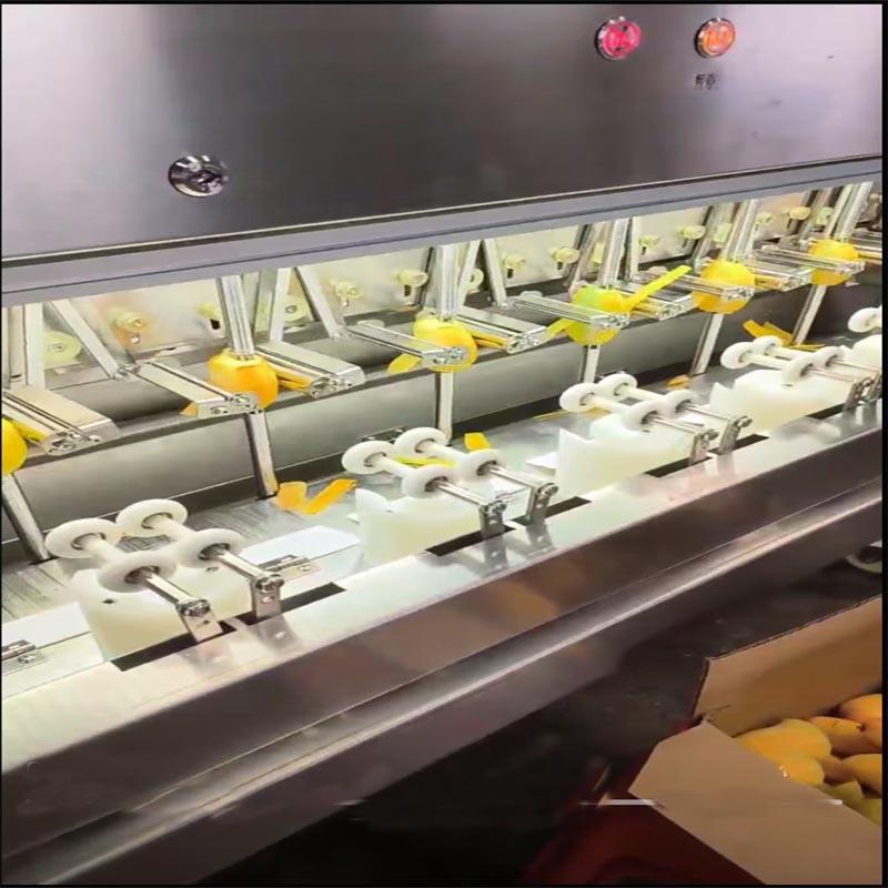 芒果削皮机全自动萝卜芋头去皮机多功能芒果去皮设备芒果削皮机