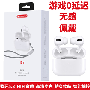 纽曼T5S入耳式无线蓝牙耳机蓝牙5.3高清通话HIFI音质智能触控无感