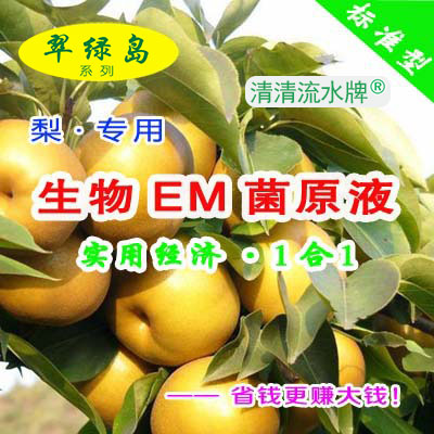 种高质量品相好的有机肥料翠绿岛