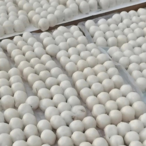 东北特产纯手工粘豆包江米豆包大黄米豆包年糕小吃真空独立包装