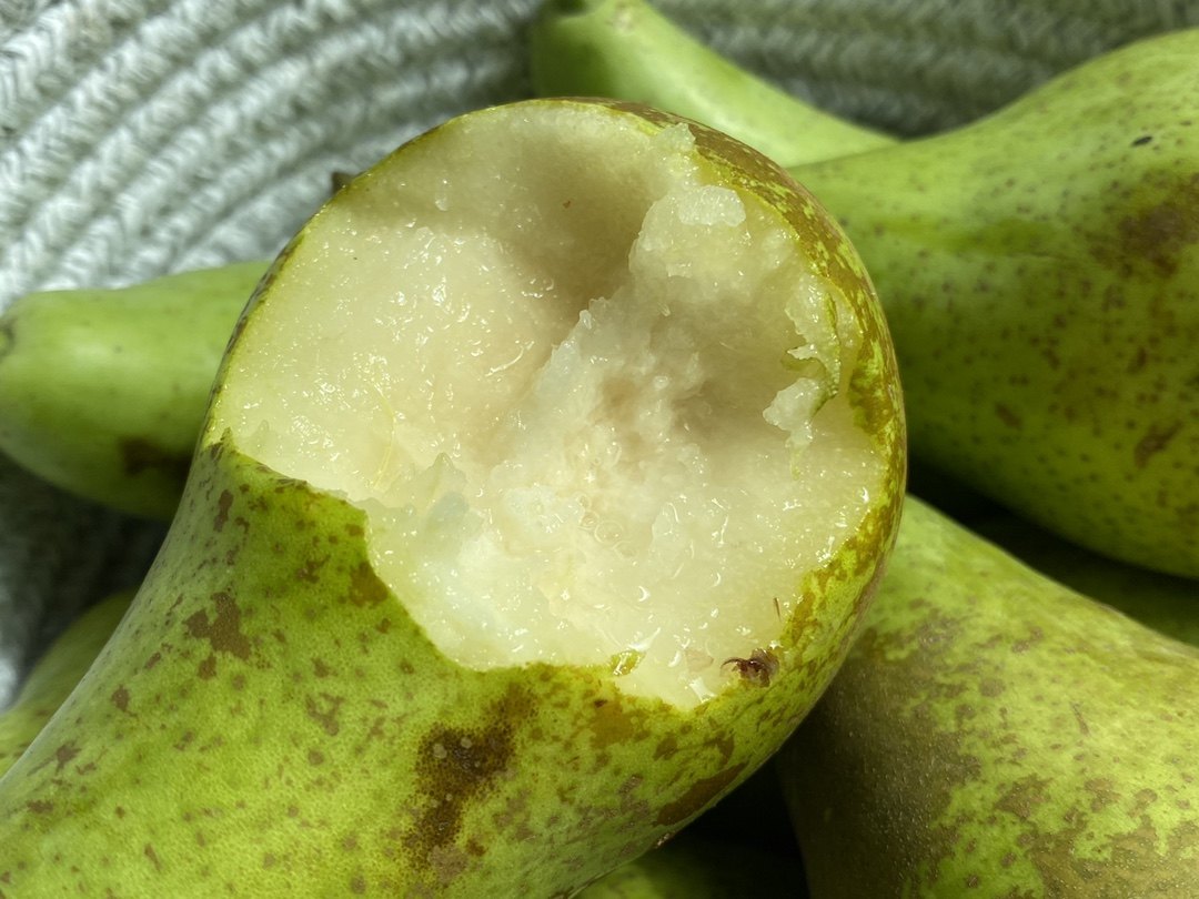 荷兰比利时啤梨吃软不吃硬青啤梨甜梨软梨新鲜孕妇水果宝宝辅食