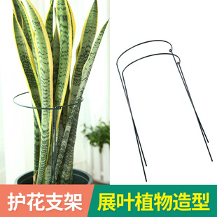 花支撑架金钱树植物花支架支撑杆花架花卉龟背竹防倒伏虎皮兰护花