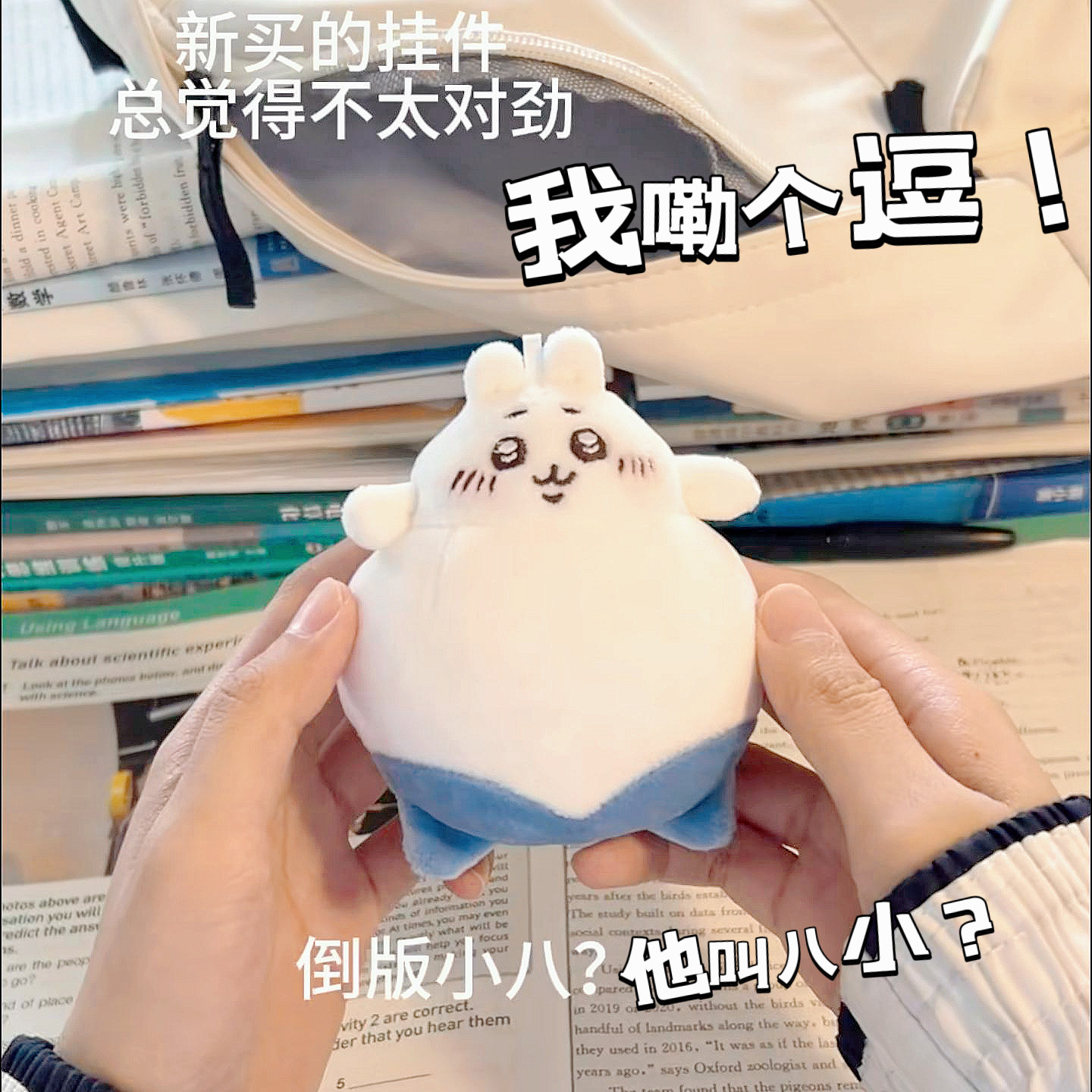 新款倒版小八乌萨奇毛绒玩偶图片