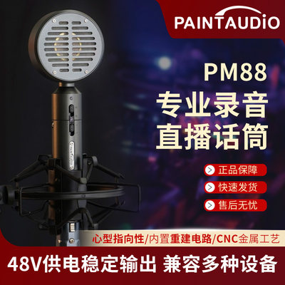 paintaudio话筒直播唱歌话筒