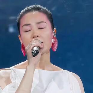 王菲同款虾片耳钉时尚椭圆形树脂大耳环气质夸张圆圈耳钉耳饰粉色