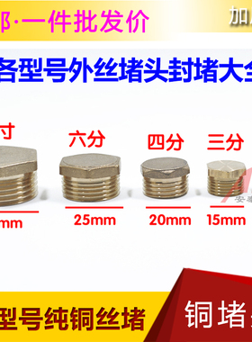 全铜堵头管堵外牙丝外丝堵口6432六四三二分水管堵头DN20/15/10/8