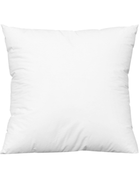 靠垫50x50/55x59 60 65 70  80沙发床头正方形抱枕腰枕靠背芯一只