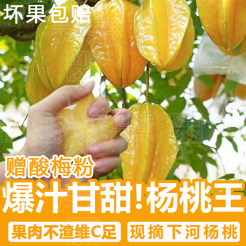 果真香漳州下河杨桃新鲜水果整箱