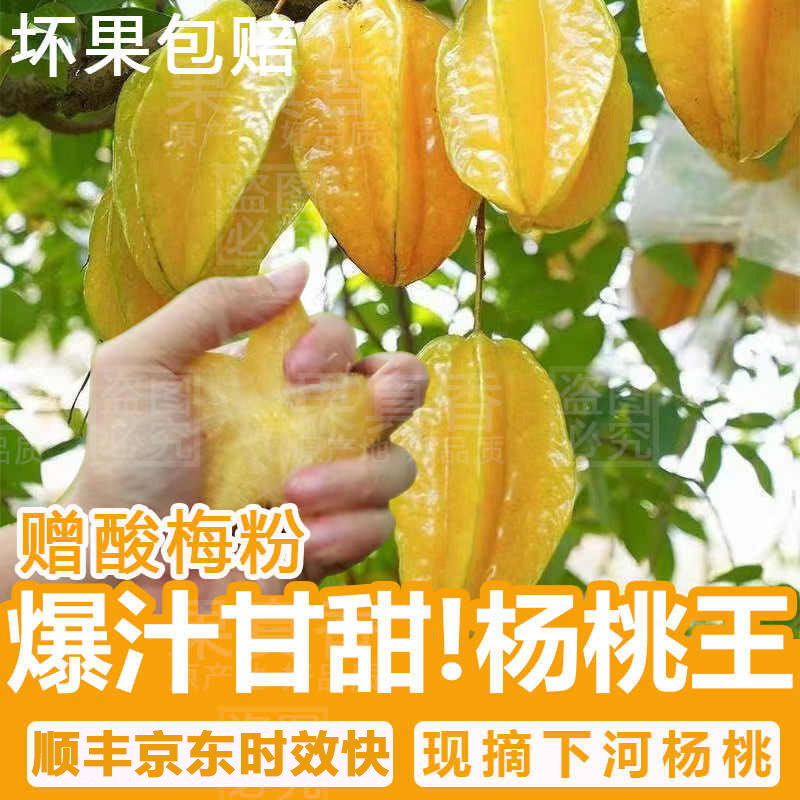 果真香福建漳州下河杨桃新鲜水果大果整箱当季时令包邮红龙五角星,水产肉类/新鲜蔬果/熟食,杨桃,淘宝优惠券,粉丝福利购,淘宝优惠卷