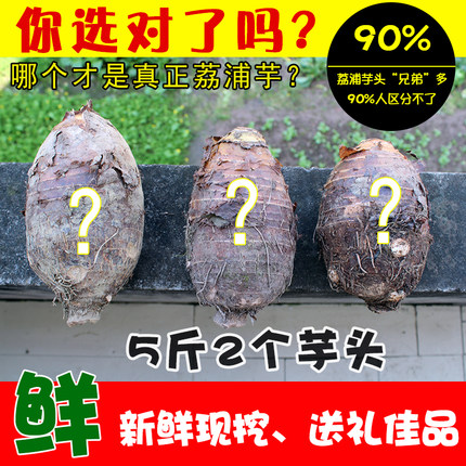 【大芋】【珍品】广西正宗荔浦芋头新鲜农家农产品蔬菜槟榔芋香芋
