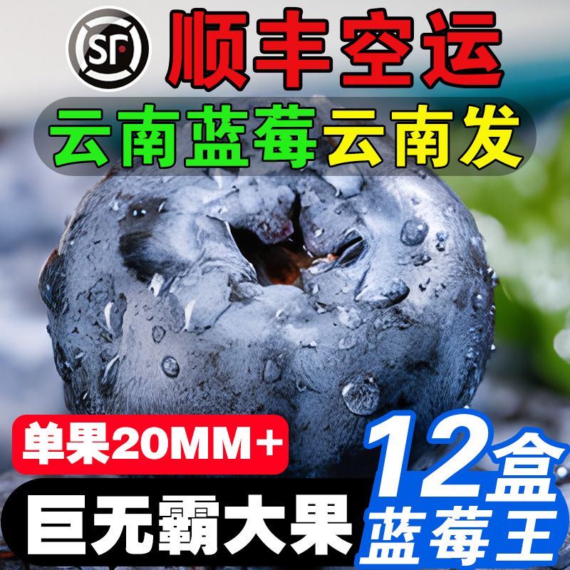 当季蓝莓水果孕妇宝妈辅食