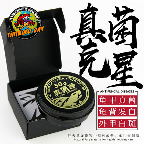 发白感染背甲真菌净乌龟