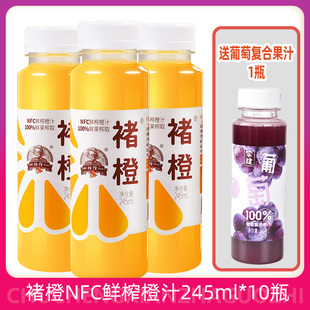 10瓶送葡萄汁1瓶 褚橙NFC鲜榨橙汁245ml 褚橙饮品旗舰店