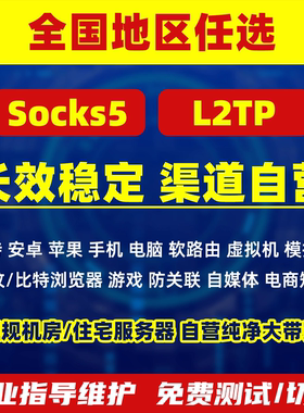 国内静态服务器地址稳定家庭住宅socks5软路由L2TP游戏多开