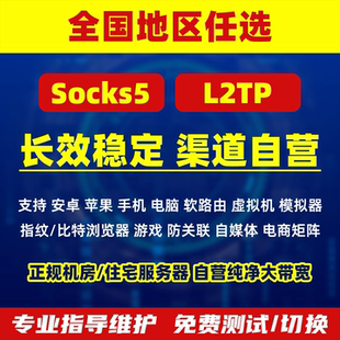 国内静态服务器地址稳定家庭住宅socks5软路由L2TP游戏多开