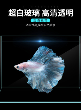 金晶超白玻璃鱼缸直角玻璃鱼缸客厅办公桌小型鱼缸长方形生态缸