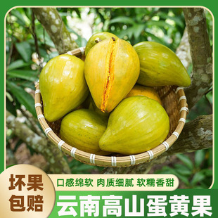鸡蛋果云南高原鸡蛋果熟果新鲜鸡蛋黄果现摘现发新鲜当季热带水果