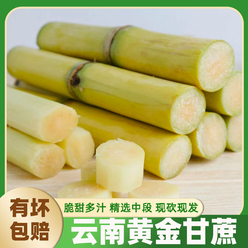 新鲜云南正宗黄金甘蔗黄皮现砍中段金当季水果薄皮整箱当季现批发