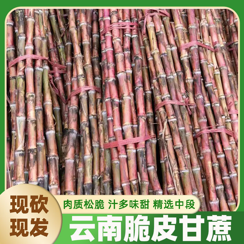 正宗云南红皮甘蔗新鲜当季水果大山货罗汉红皮甘蔗薄皮有裂口正常