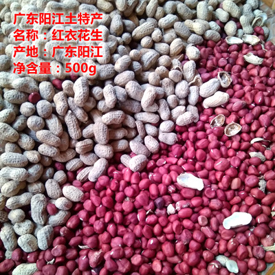 阳江阳西农家本地本土产红衣花生传统种植剥皮日晒干花生米地豆米