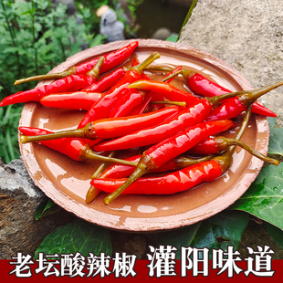 灌阳老坛全州酸辣椒油茶配料腌制辣海椒酸辣泡椒无添加下饭菜剁椒