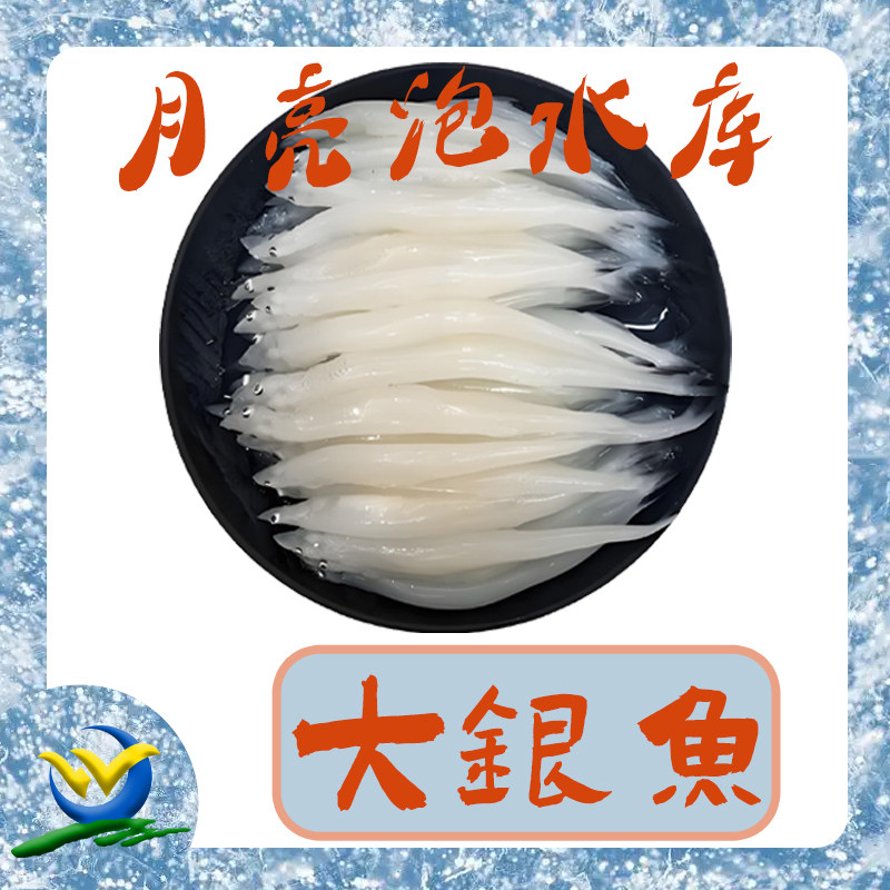 月亮泡水库有机大银鱼0.5至10斤辅食孕产妇推荐鲜冻零添加包邮