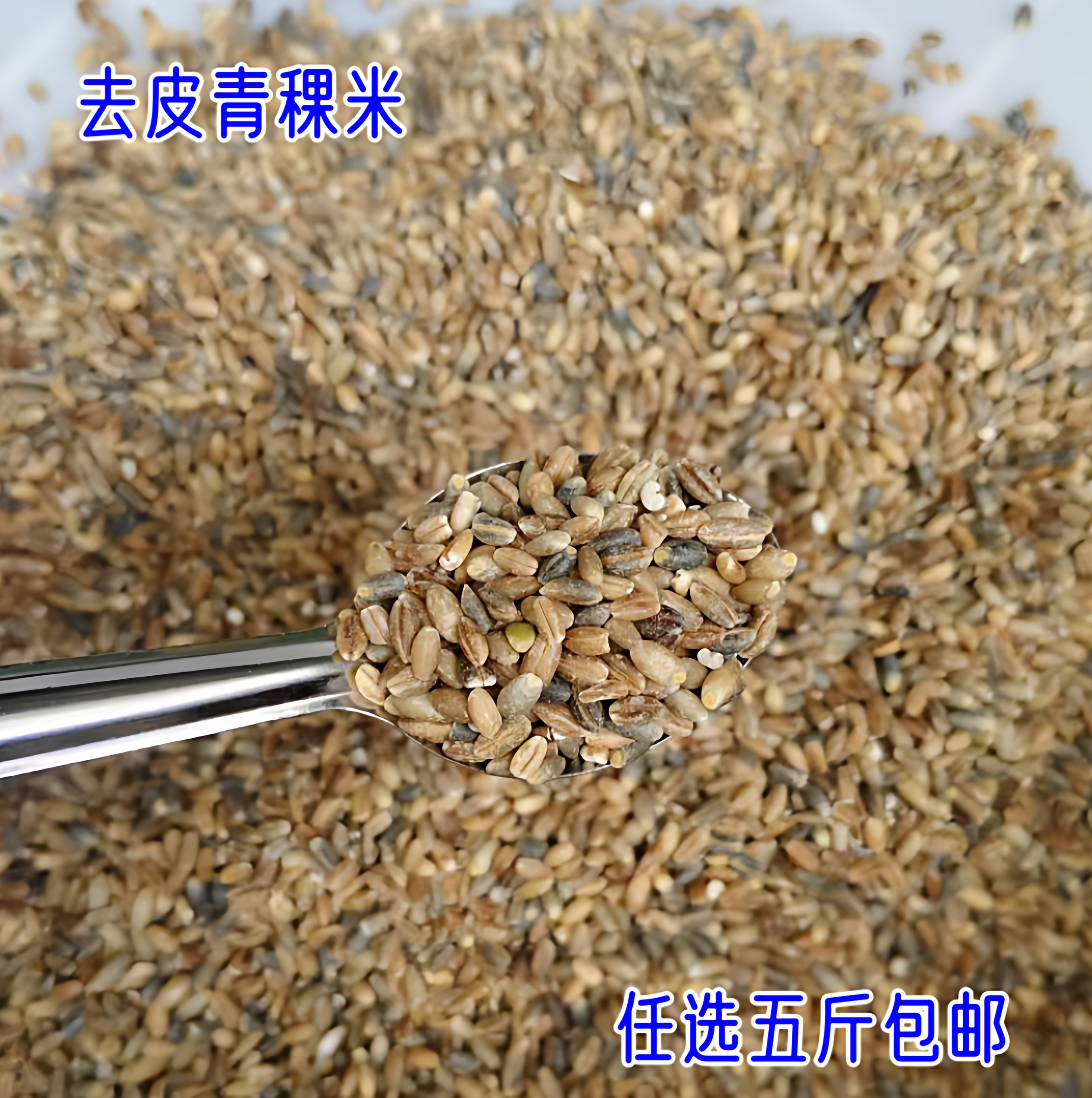 优质青稞米 去皮青稞米 五谷粗粮颗粒饱满口感顺滑500g