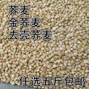 荞麦乌麦花荞甜荞麦荞麦米全胚芽荞麦仁黑荞麦粒五谷杂粮粗粮500g