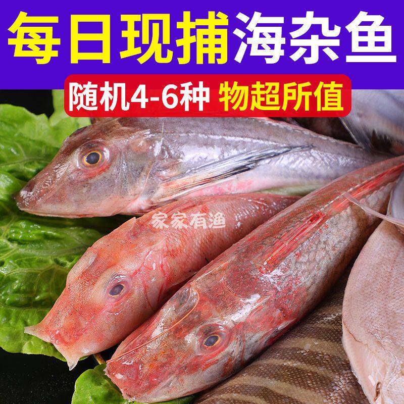 海杂鱼新鲜小黄鱼鳘鱼鲐鱼鲳鱼舌头鱼安康鱼鳗鱼梭鱼无冰衣