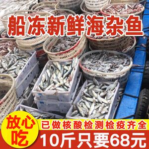 【国产 检疫齐全】新鲜速冻红石斑安康鱼小梭鱼红头鱼等随机发货