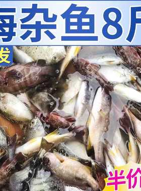 【现捕现发】海杂鱼批发新鲜深海鱼大杂烩海鲜水产黄鱼鲳鱼红石斑