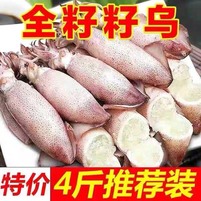 满籽籽乌全籽带籽新鲜笔管鱼小墨鱼鱿鱼满籽海兔子海鲜无沙小海兔