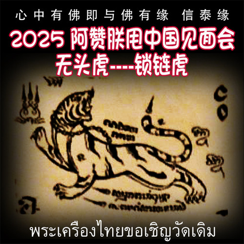 2025 阿赞朕甩中国行见面会 锁链虎 泰国纹身银针刺符 无头虎传承