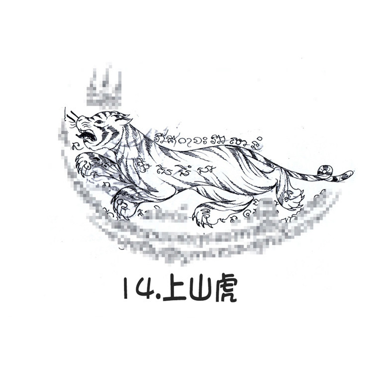 上山虎 泰国银针刺符 阿赞朕甩 2025年10月1日 广州见面会 一对一