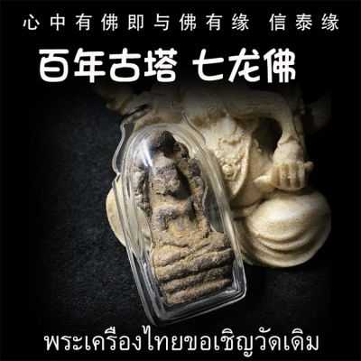 泰国佛牌 鲁士SOLO 百年古塔七龙佛 立尊版 防水外壳 吊坠