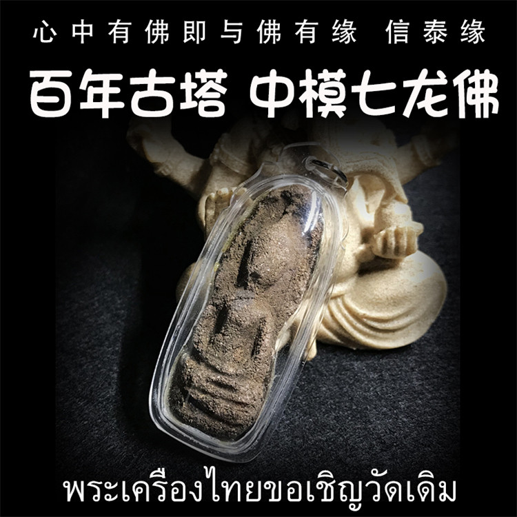 泰国佛牌 鲁士solo  百年古塔七龙佛 中模版 防水外壳 吊坠