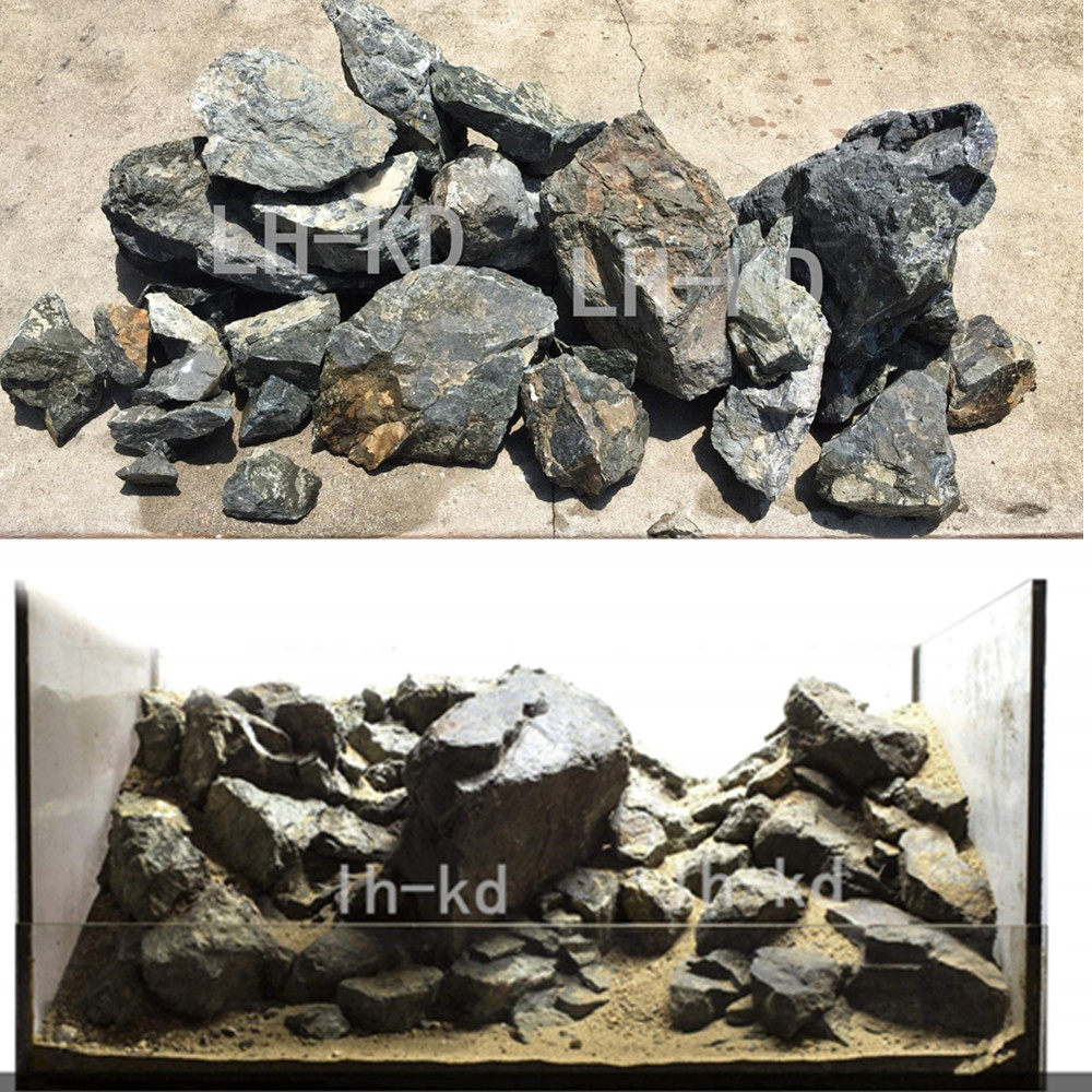 美鲷鱼价格 美鲷鱼图片 星期三