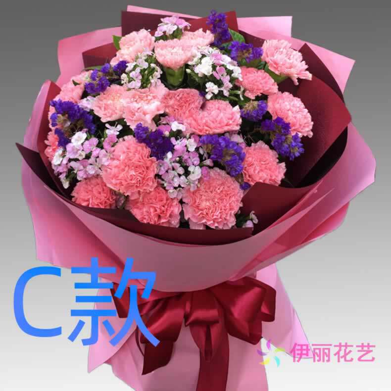 生日祝寿康乃馨河南信阳订花店送花潢川县淮滨县息县同城鲜花速递