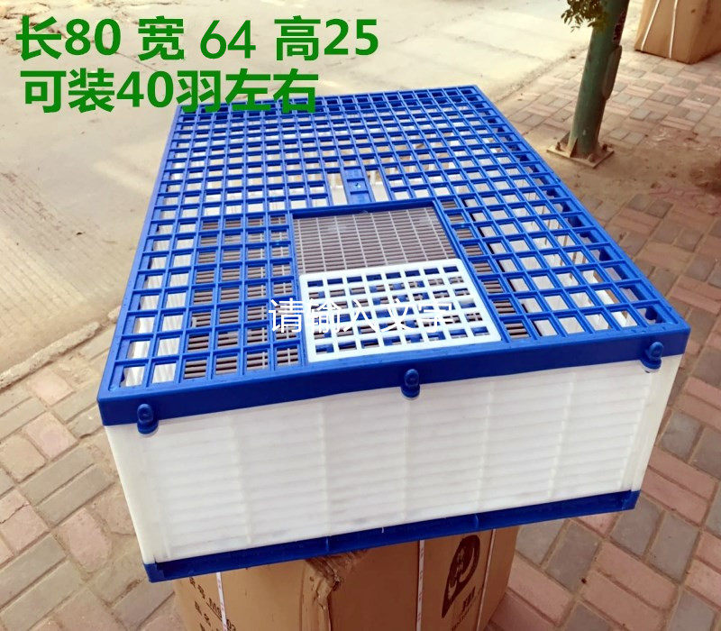 鸽具/放飞笼/训放笼/报道笼/信鸽塑料笼/鸽子笼/信鸽笼/直销包邮