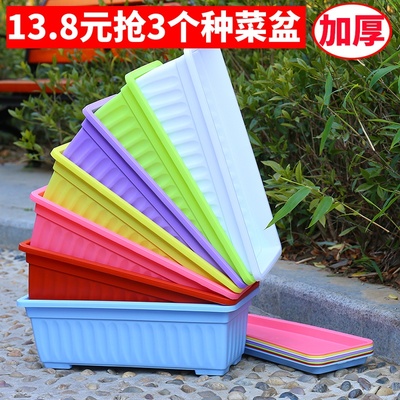 塑料彩色阳台种菜盆室内蔬菜养花